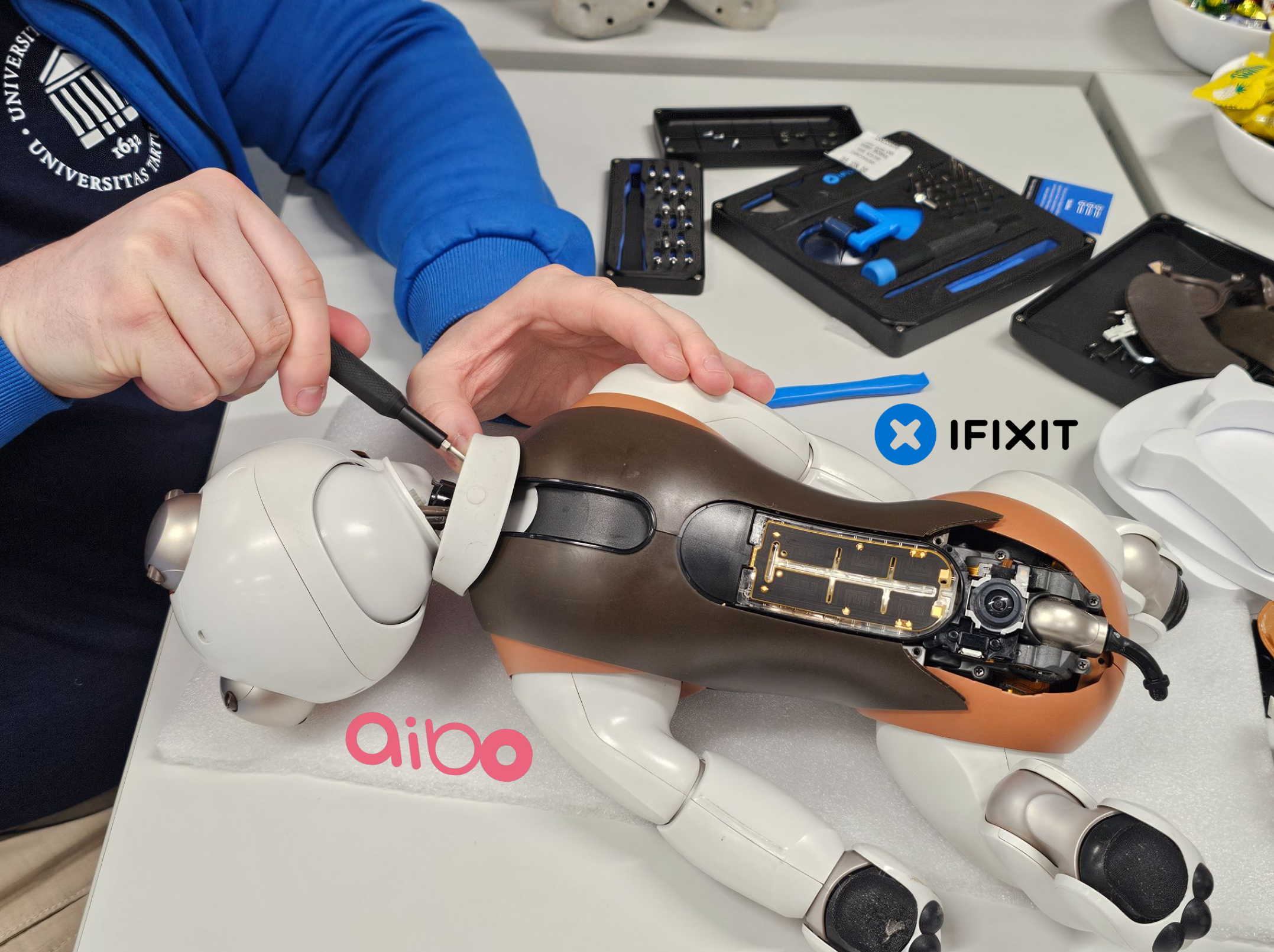 aibo+ifixit